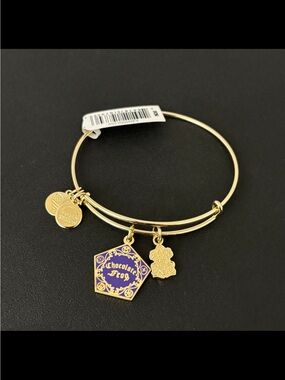 Alex and Ani Bracelet NWT Harry Potter Chocolate Frog Duo Charm Bangle